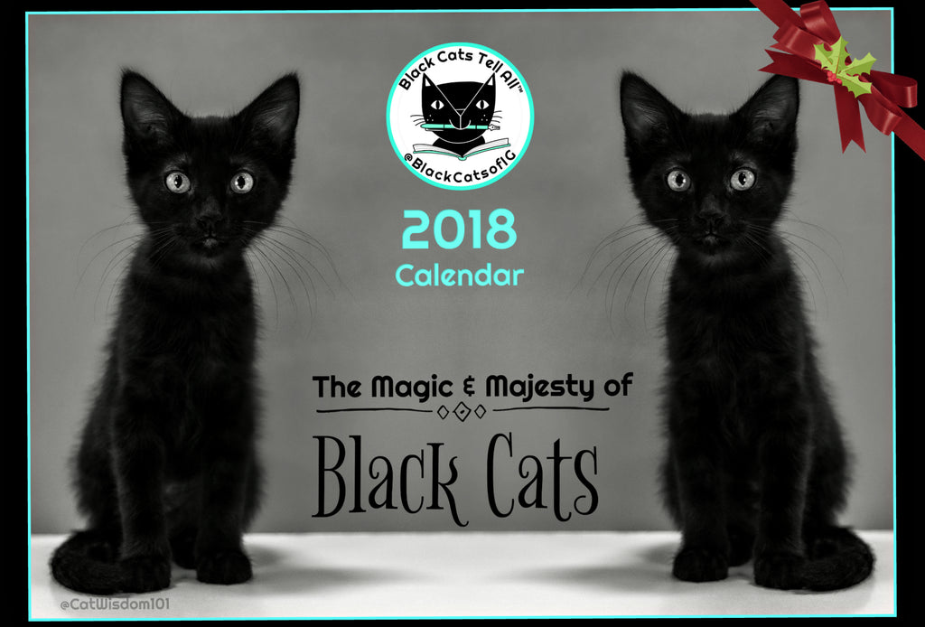 Black Cats Tell All 2018 Calendar Now on Sale on Zazzle 60% Off