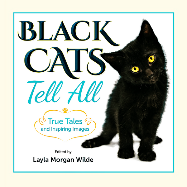 Summer Sale: Black Cats Tell All: True Tales And Inspiring Images FREE U.S. Shipping - Black Cats Tell All